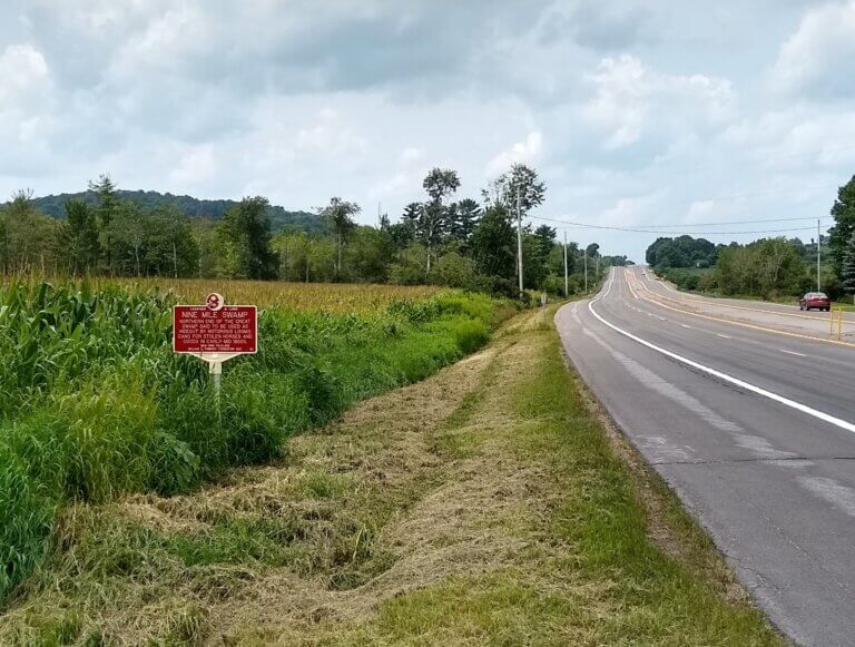 Legends & Lore marker for Nine Mile Swamp.